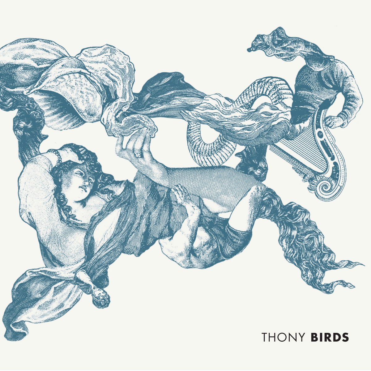 THONY – BIRDS